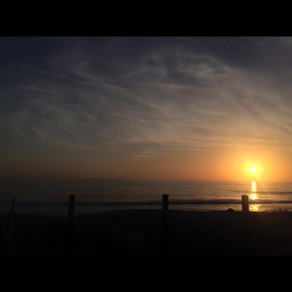 Meet your Posher, Claudia